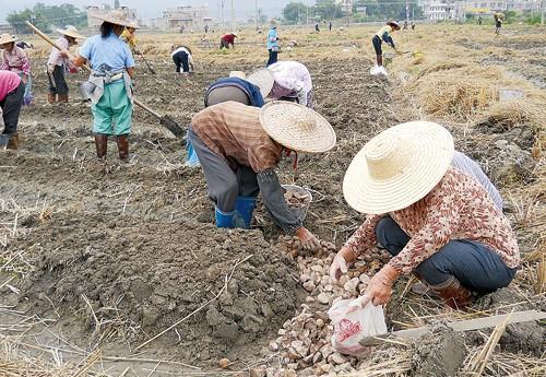 ����������