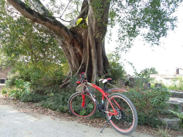 �ô�һ������