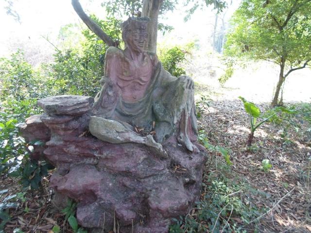 ɳ����԰���ù���