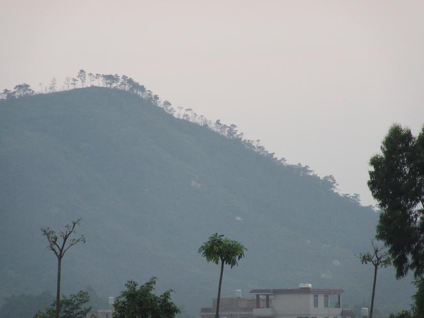 Զ�������δ��«��