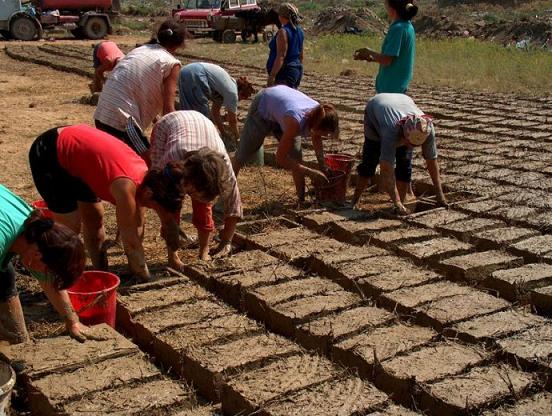 ��ש��������