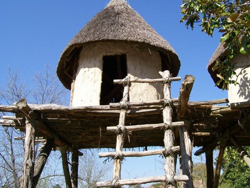 �߽�é������