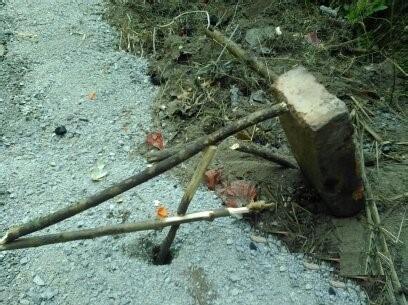 ��������ʵ��ͼ